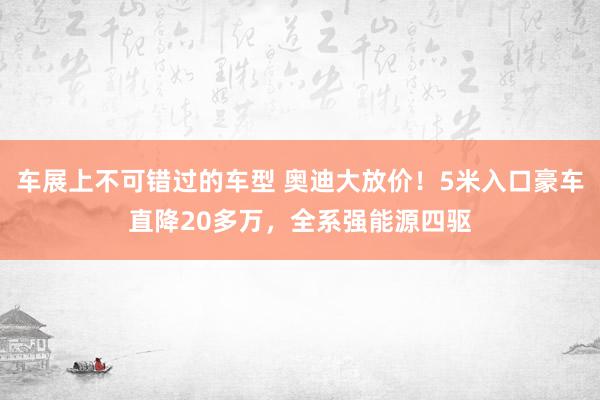 车展上不可错过的车型 奥迪大放价！5米入口豪车直降20多万，全系强能源四驱