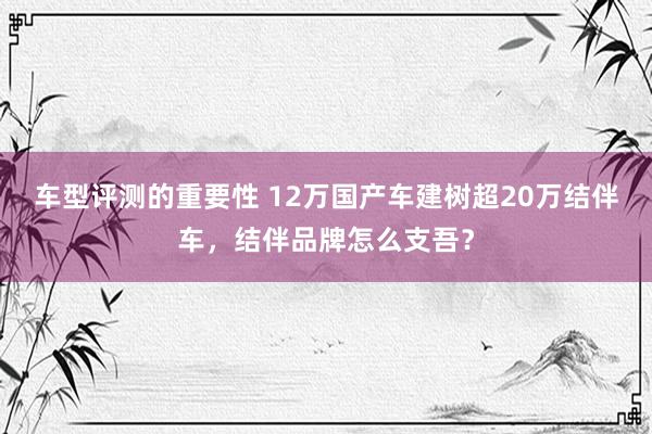 车型评测的重要性 12万国产车建树超20万结伴车，结伴品牌怎么支吾？