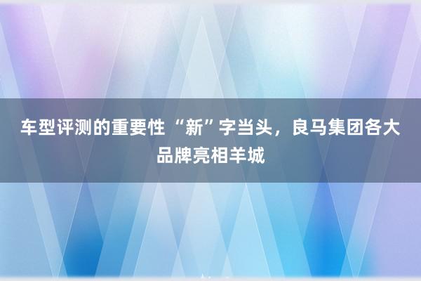 车型评测的重要性 “新”字当头，良马集团各大品牌亮相羊城