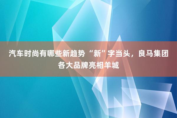 汽车时尚有哪些新趋势 “新”字当头，良马集团各大品牌亮相羊城