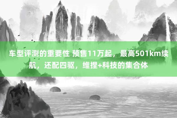 车型评测的重要性 预售11万起，最高501km续航，还配四驱，维捏+科技的集合体