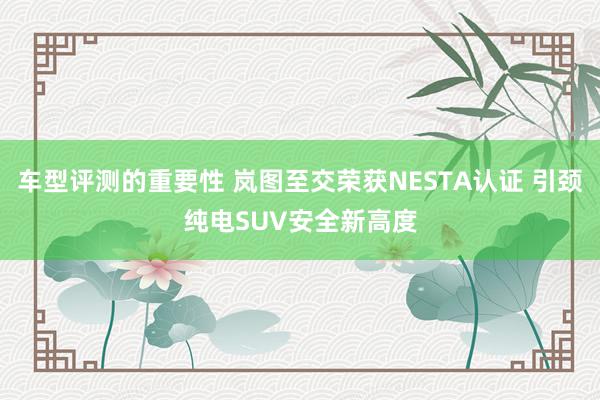 车型评测的重要性 岚图至交荣获NESTA认证 引颈纯电SUV安全新高度