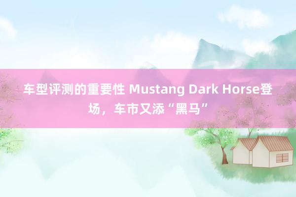 车型评测的重要性 Mustang Dark Horse登场，车市又添“黑马”