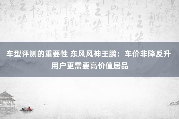 车型评测的重要性 东风风神王鹏：车价非降反升 用户更需要高价值居品