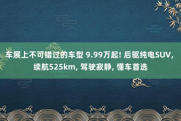 车展上不可错过的车型 9.99万起! 后驱纯电SUV, 续航525km, 驾驶寂静, 懂车首选