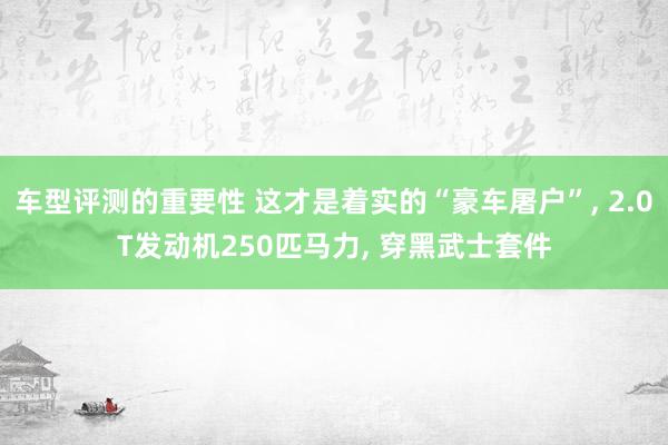 车型评测的重要性 这才是着实的“豪车屠户”, 2.0T发动机250匹马力, 穿黑武士套件