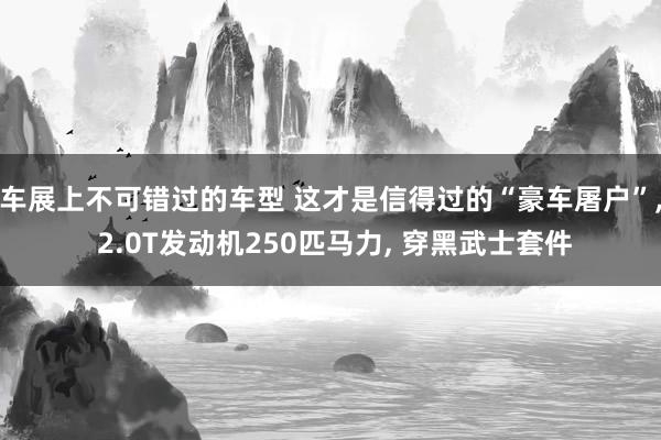 车展上不可错过的车型 这才是信得过的“豪车屠户”, 2.0T发动机250匹马力, 穿黑武士套件