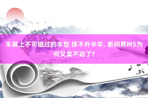 车展上不可错过的车型 撑不外半年, 新问界M5为何又卖不动了?