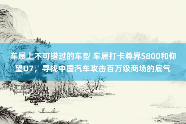 车展上不可错过的车型 车展打卡尊界S800和仰望U7，寻找中国汽车攻击百万级商场的底气